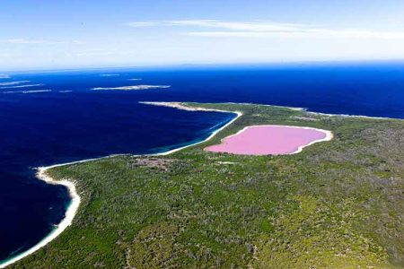 دریاچه ی صورتی هیلیر در استرالیا