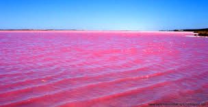 دریاچه صورتی هیلیر در استرالیا