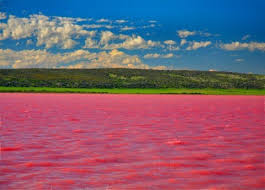 دریاچه صورتی هیلیر در استرالیا