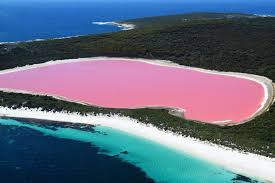 دریاچه صورتی هیلیر در جنوب غربی استرالیا