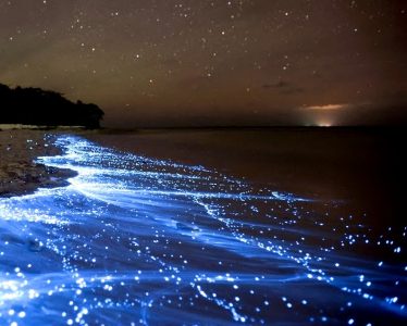 دریای ستاره ها مالدیو