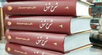 دکتر سعید حمیدیان: من اعتقاد ندارم حافظ لسان‌الغیب است