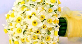 لحظاتی با چند سرودۀ دکتر شفیعی‌کدکنی