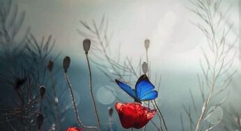 تا موسیقی هست و شعر، جهان هنوز امن است…