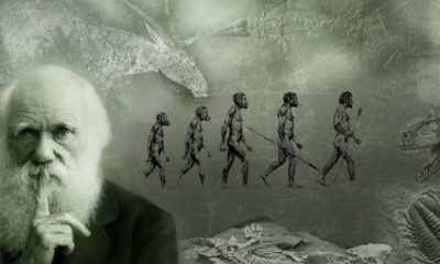 آیا نظریۀ داروین با ایدۀ آفرینش خدایی قابل جمع است؟