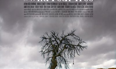 درنگی در فیلم «درخت گلابی وحشی» ساختۀ نوری بیلگه جیلان