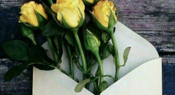 بخش‌هایی از یک نامه
