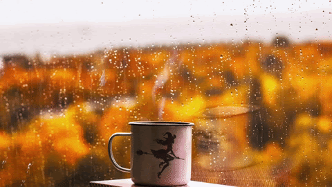 یک صبح زیبای پاییزی با طعمِ موسیقیِ بارانی...