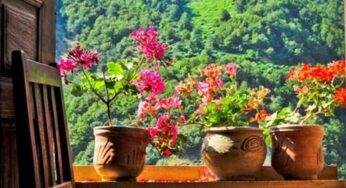 جملاتی زیبا و قدرشناسانه برای شروع یک روز بی‌نظیر