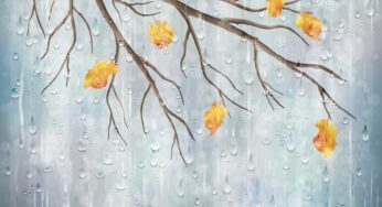 دیوانگی و باران و سرمستی…