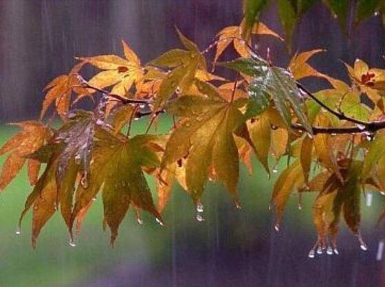 باران ساختۀ آنتونیو ویوالدی