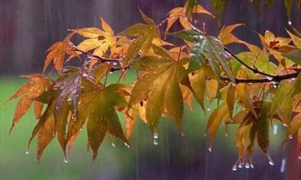 باران ساختۀ آنتونیو ویوالدی