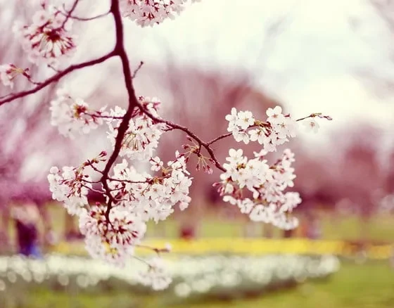 می‌خواهم با هرآنچه مرا در برگرفته یکی شوم...
